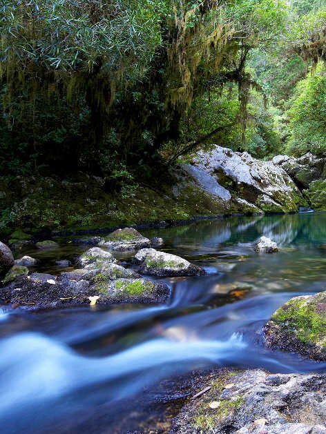 Source of the Riwaka River