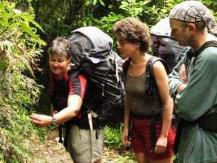 luxury eco-lodge abel tasman-nelson region - bird watching and nature treks