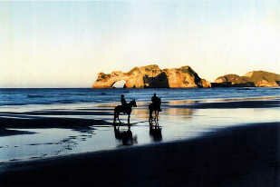 golden bay horsetreks, farewell spit