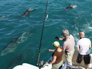 closest 5 star accommodation to abel tasman