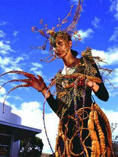 wow nelson nz wearable arts