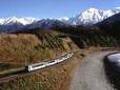 trans alpine rail from christchurch to greymouth